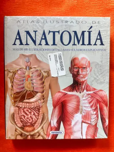 Atlas ilustrado de anatomía Susaeta